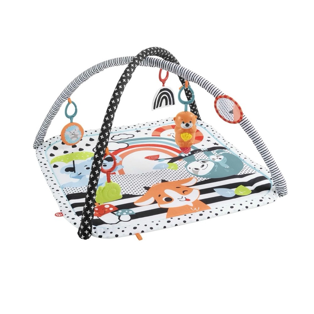 Fisher Price Activity Mat